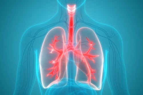 Screening for Lung Cancer